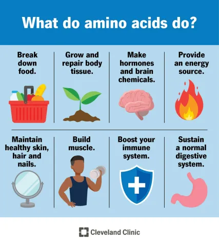 Amino-s2