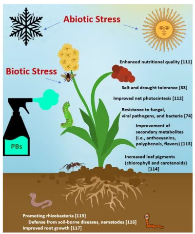 Biostimulants-s1