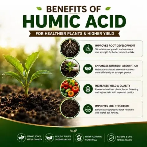 Humic &amp; Fulvic Acid-s3